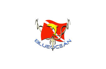Blue Ocean Escola de Mergulho - Foto 1