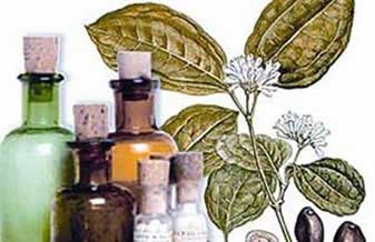 Farmácia Homeopática Lamasson - Foto 1