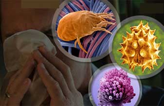 Dra. Fabiola Reis Oliveira - Foto 1