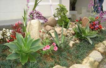 Jardinagem J Mendes - Foto 1