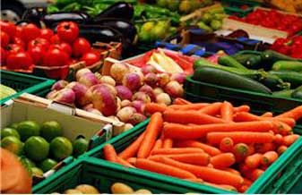 Hortifruti Terra - Foto 1