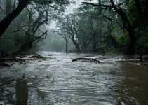 chuva causa alagamentos em Ribeirão Preto