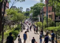 falta de manutenção em áreas públicas Ribeirão Preto