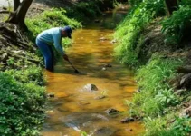 limpeza em córregos