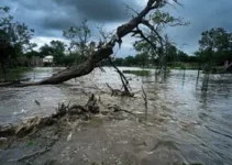 temporal em Ribeirão Preto