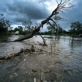 temporal em Ribeirão Preto