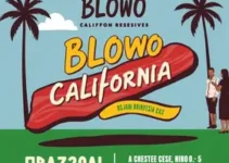 Ribeirão Preto e Franca