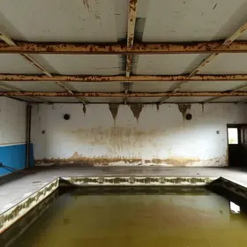 mofo e goteiras em escola