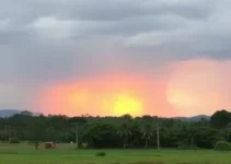 Ribeirão Preto