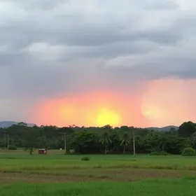Ribeirão Preto
