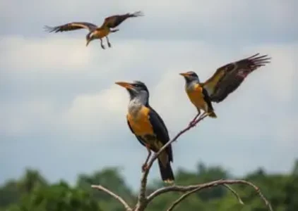 Últimas noticias de Ribeirão Preto