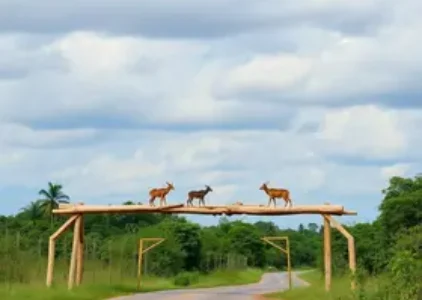 Últimas noticias de Ribeirão Preto