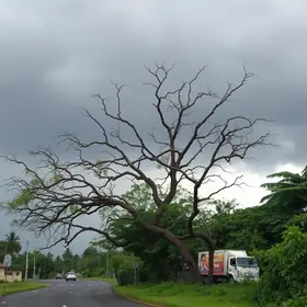 temporal em Ribeirão Preto