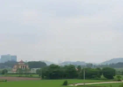 Últimas noticias de Ribeirão Preto