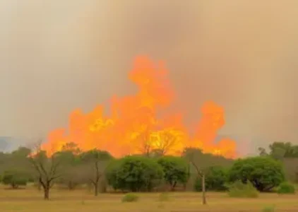 Últimas noticias de Ribeirão Preto