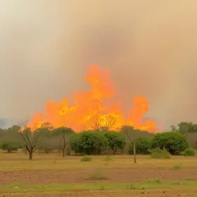 queimadas em Ribeirão Preto