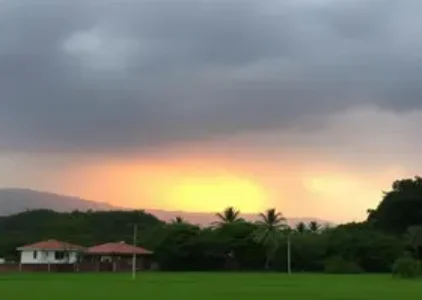 Últimas noticias de Ribeirão Preto