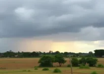tempo muito seco
