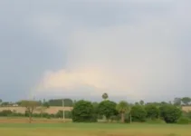 tempo seco