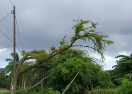 Últimas noticias de Ribeirão Preto