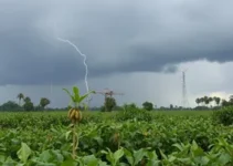 temporal em Ribeirão Preto