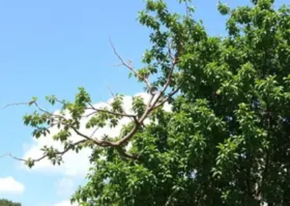 Últimas noticias de Ribeirão Preto