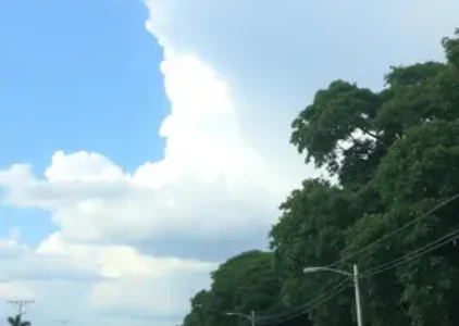 Últimas noticias de Ribeirão Preto