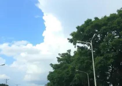 Últimas noticias de Ribeirão Preto