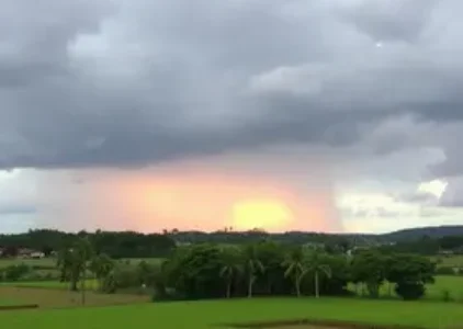 Últimas noticias de Ribeirão Preto