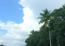 tempo Ribeirão Preto