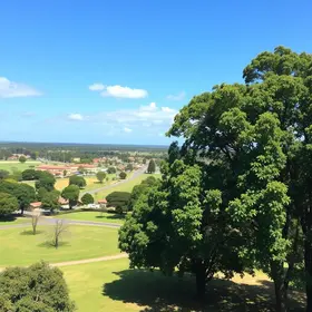 atividades em Ribeirão Preto