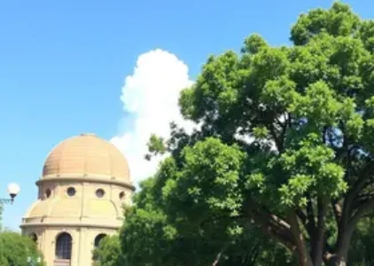 Últimas noticias de Ribeirão Preto