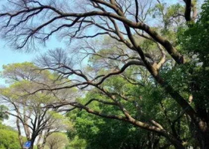 Últimas noticias de Ribeirão Preto