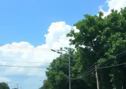Últimas noticias de Ribeirão Preto
