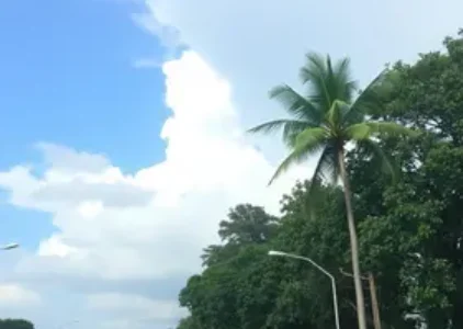 Últimas noticias de Ribeirão Preto