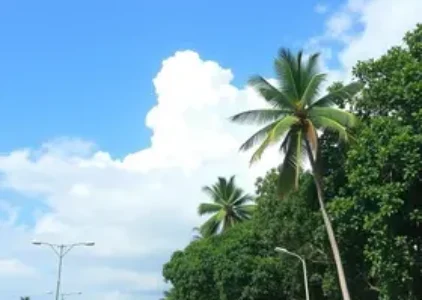 Últimas noticias de Ribeirão Preto