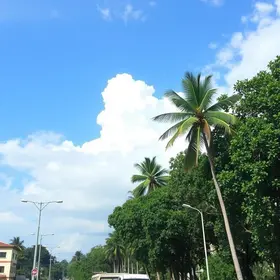 previsão do tempo em Ribeirão Preto