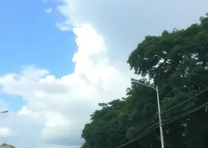 Últimas noticias de Ribeirão Preto
