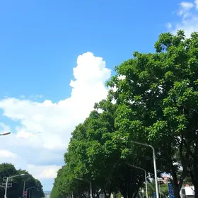 previsão do tempo em Ribeirão Preto (SP)