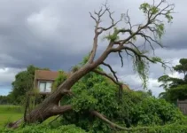 temporal em Ribeirão Preto