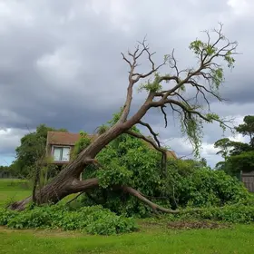 temporal em Ribeirão Preto