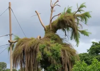 limpeza em Ribeirão Preto