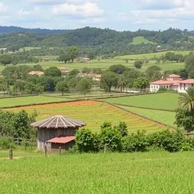 projetos culturais
