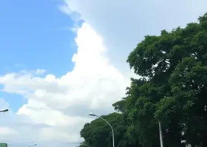Últimas noticias de Ribeirão Preto