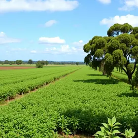 VIII Congresso Nacional de Direito Agrário