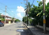limpeza em Ribeirão Preto