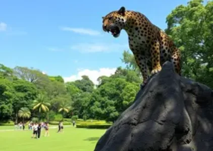 Últimas noticias de Ribeirão Preto