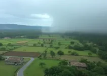 chuva e vento forte Ribeirão Preto