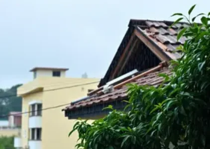 Últimas noticias de Ribeirão Preto