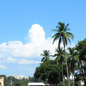 comércio de Ribeirão Preto, SP, vagas temporárias